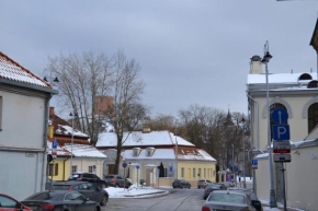Danarent Tilto Vilnius